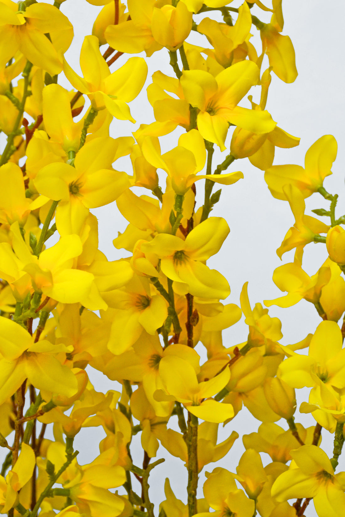 70" Artificial Forsythia Tree In Plastic Pot Yellow