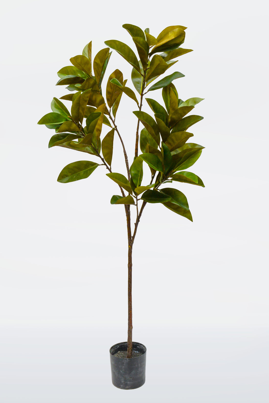 6Ft Artificial Magnolia Leaf Tree Green
