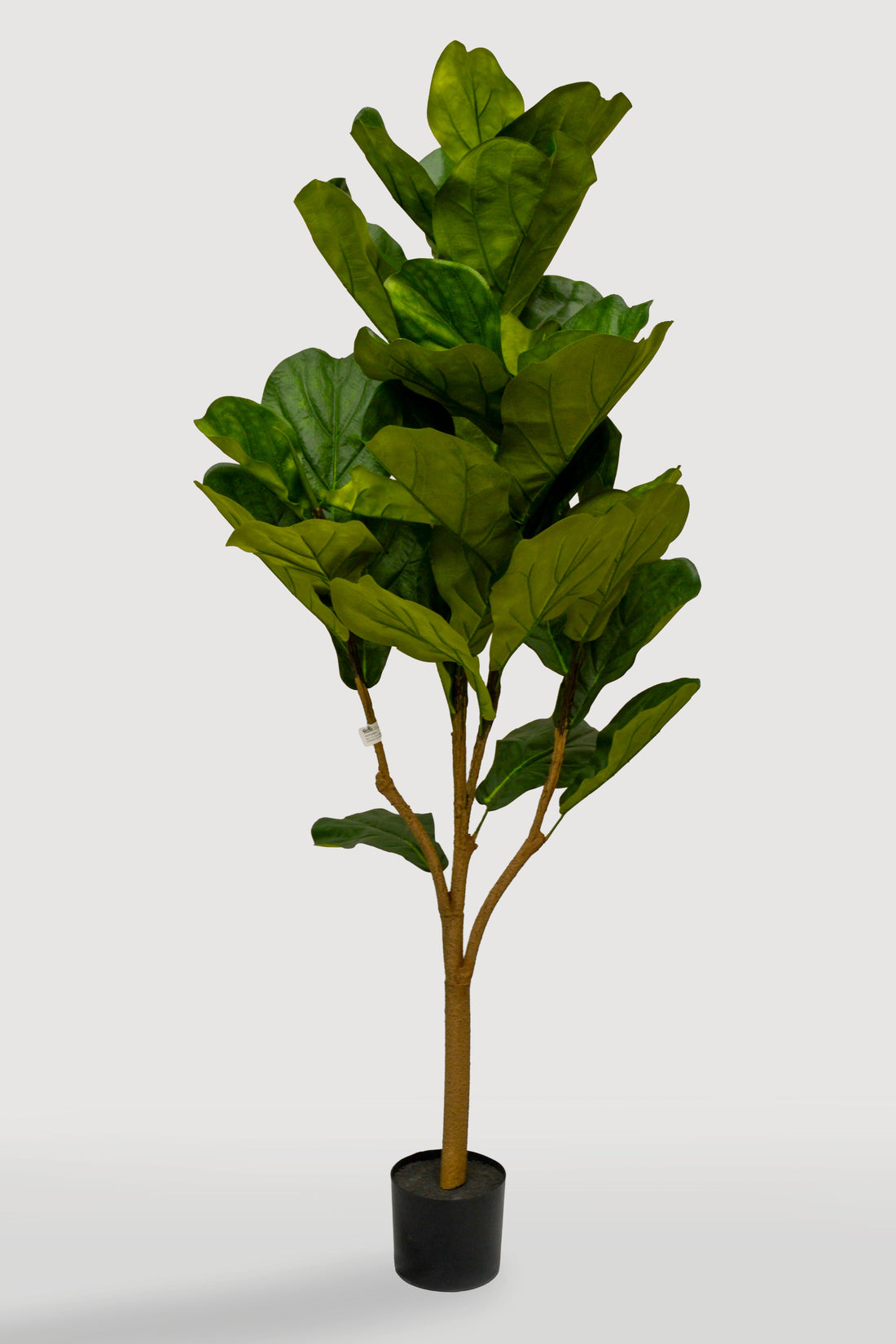 5Ft Artificial UV Potted Fiddle Leaf Fig Tree Two Tone Green