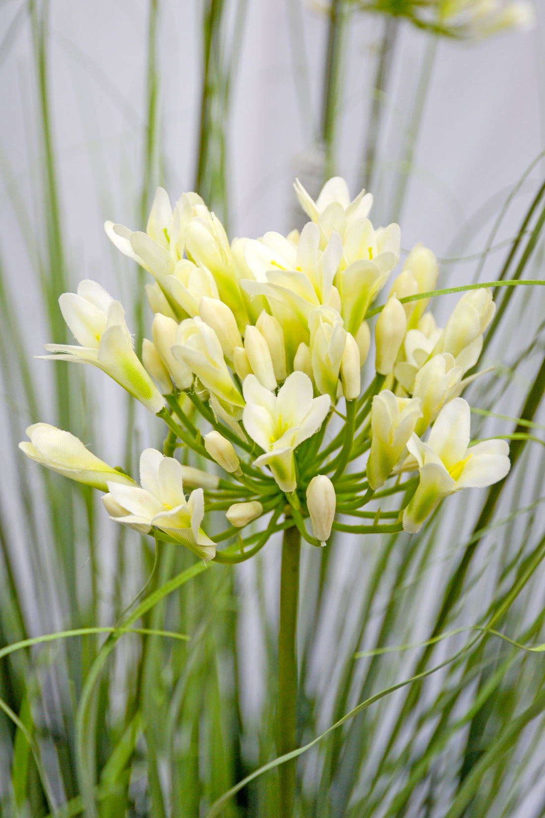 59" Artificial Agapanthus Grass Plant Cream