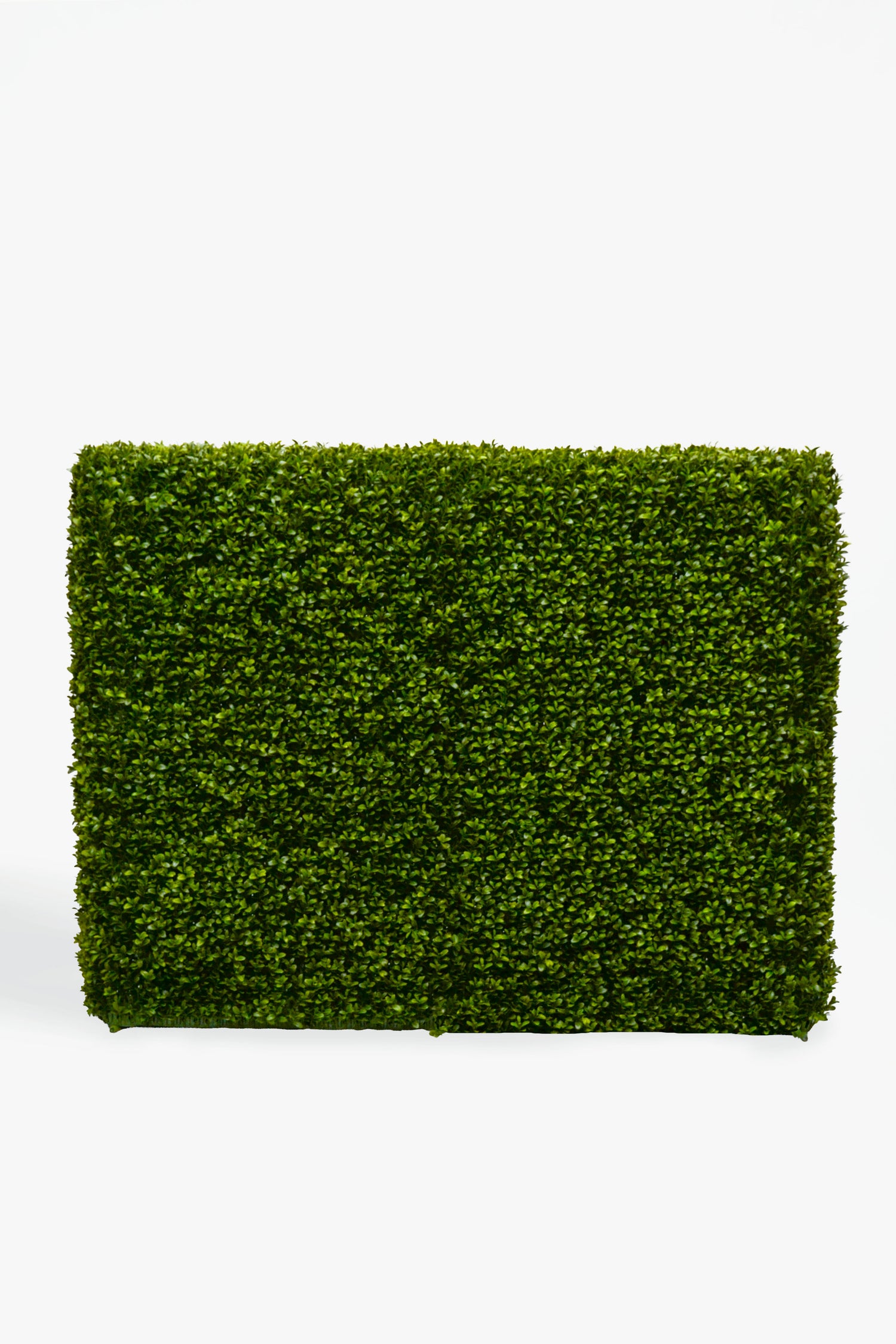33 x 9 x 46 Boxwood Hedge Two Tone Green