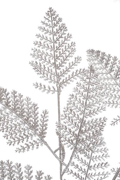 30" Metallic Lace Leaf Spray Silver