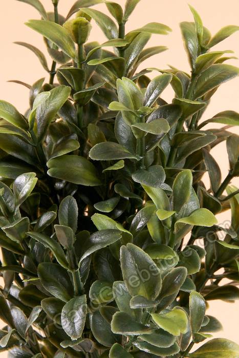 10" Boxwood Pick Green