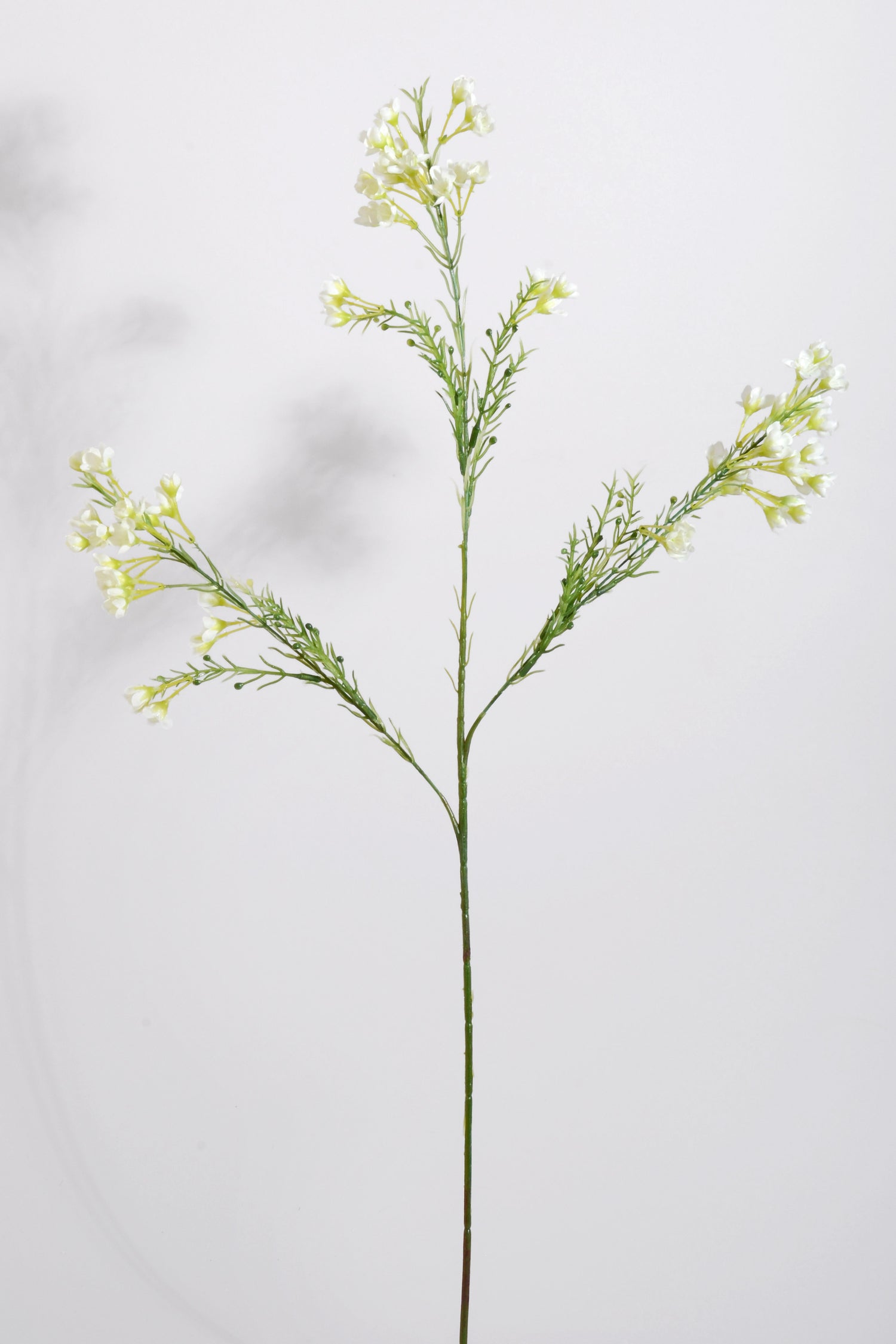 27" Silk Waxflower Spray Cream/White