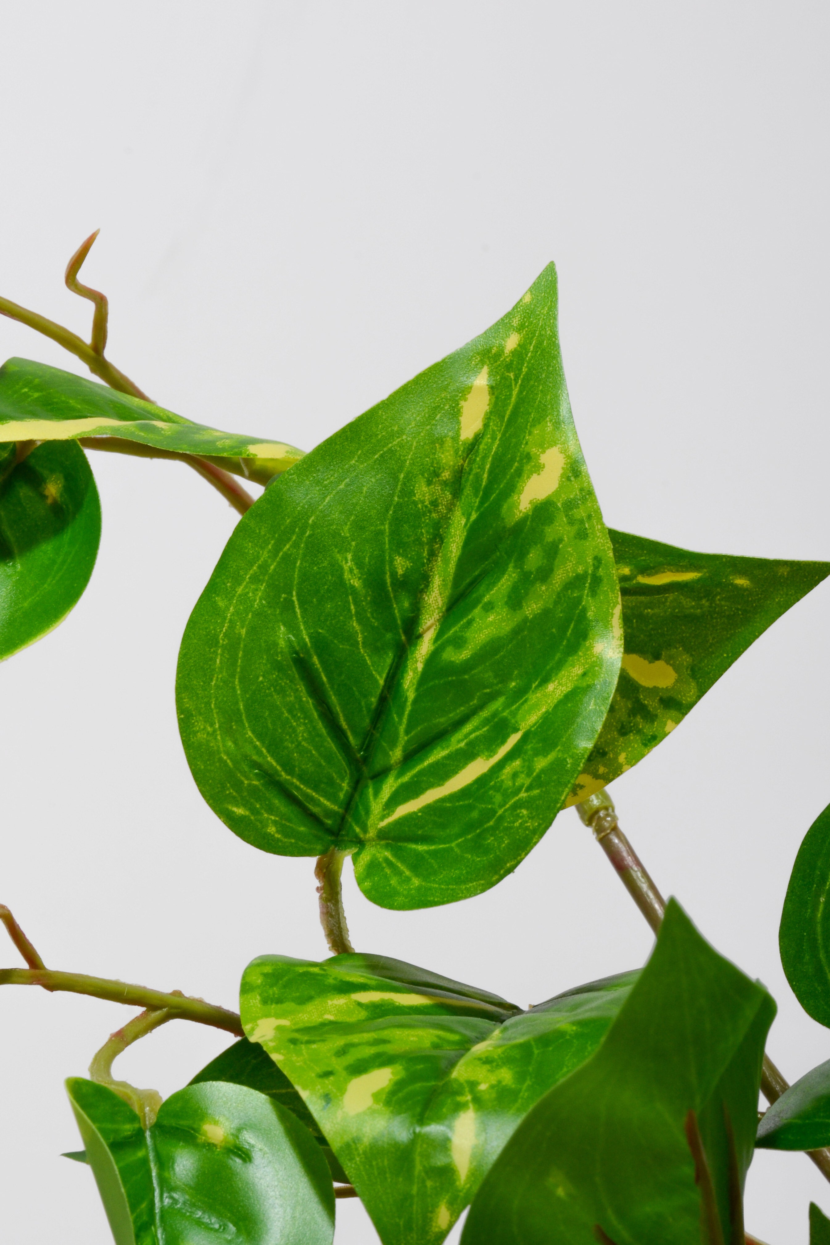 20" Uv Artificial Protected Pothos Bush Green/White