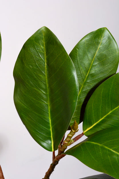 39" Artificial Magnolia Leaf Spray Green