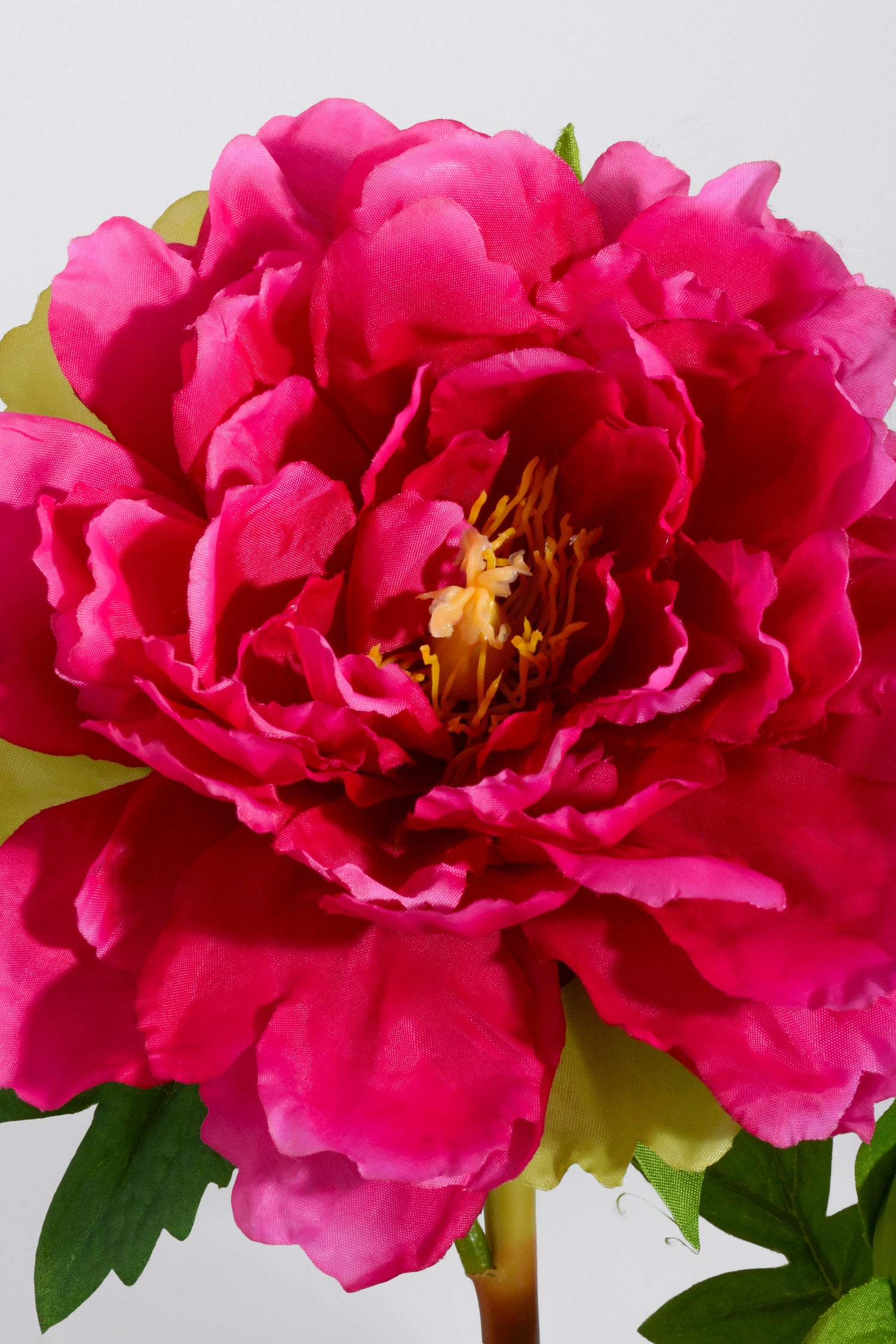 18" Silk Peony Spray Beauty