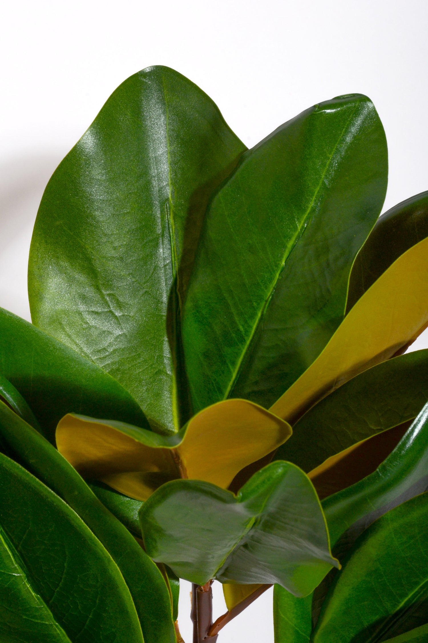 16" Artificial Magnolia Leaf Pick Green