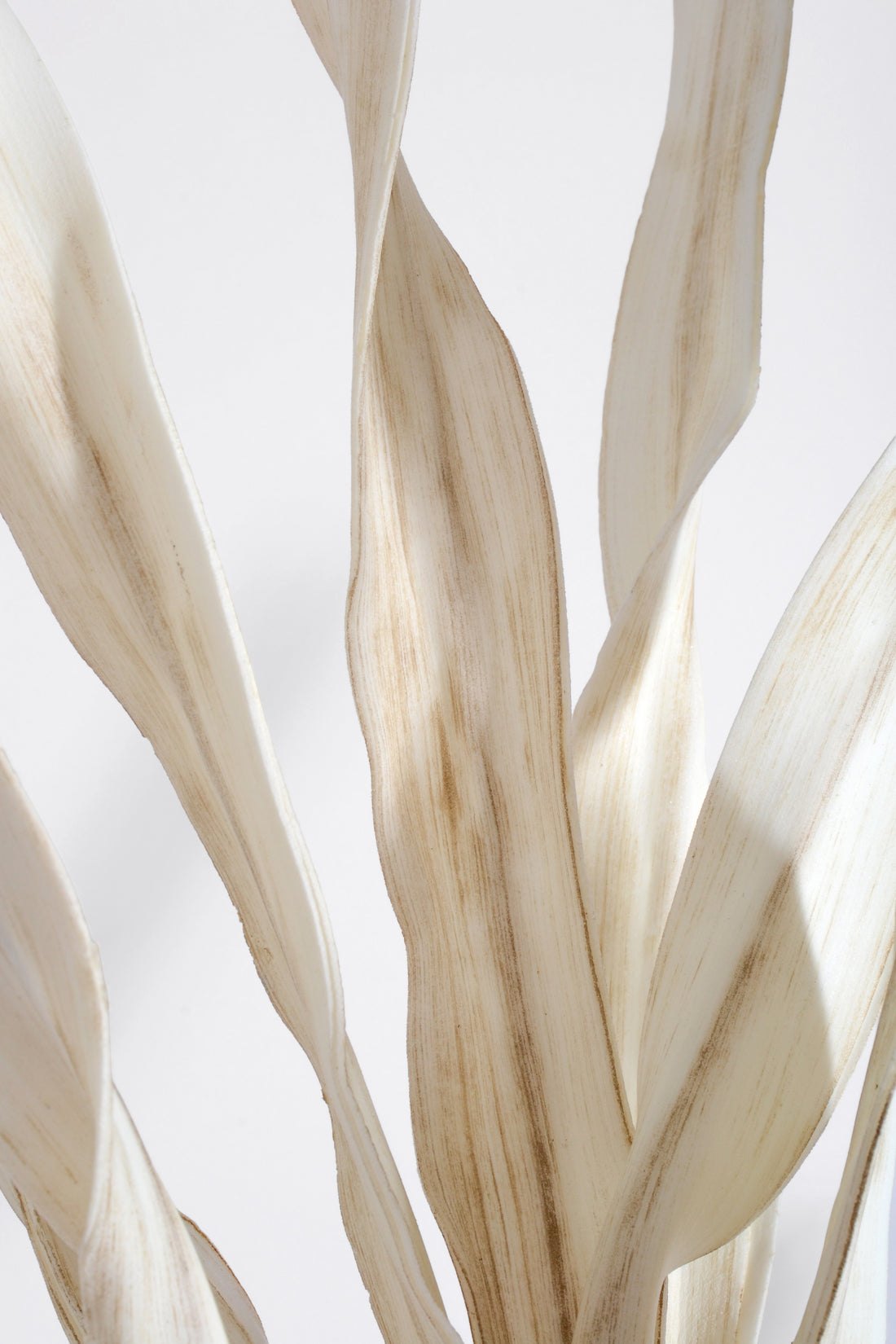 45" Foam Sea Kelp Spray Cream/Brown