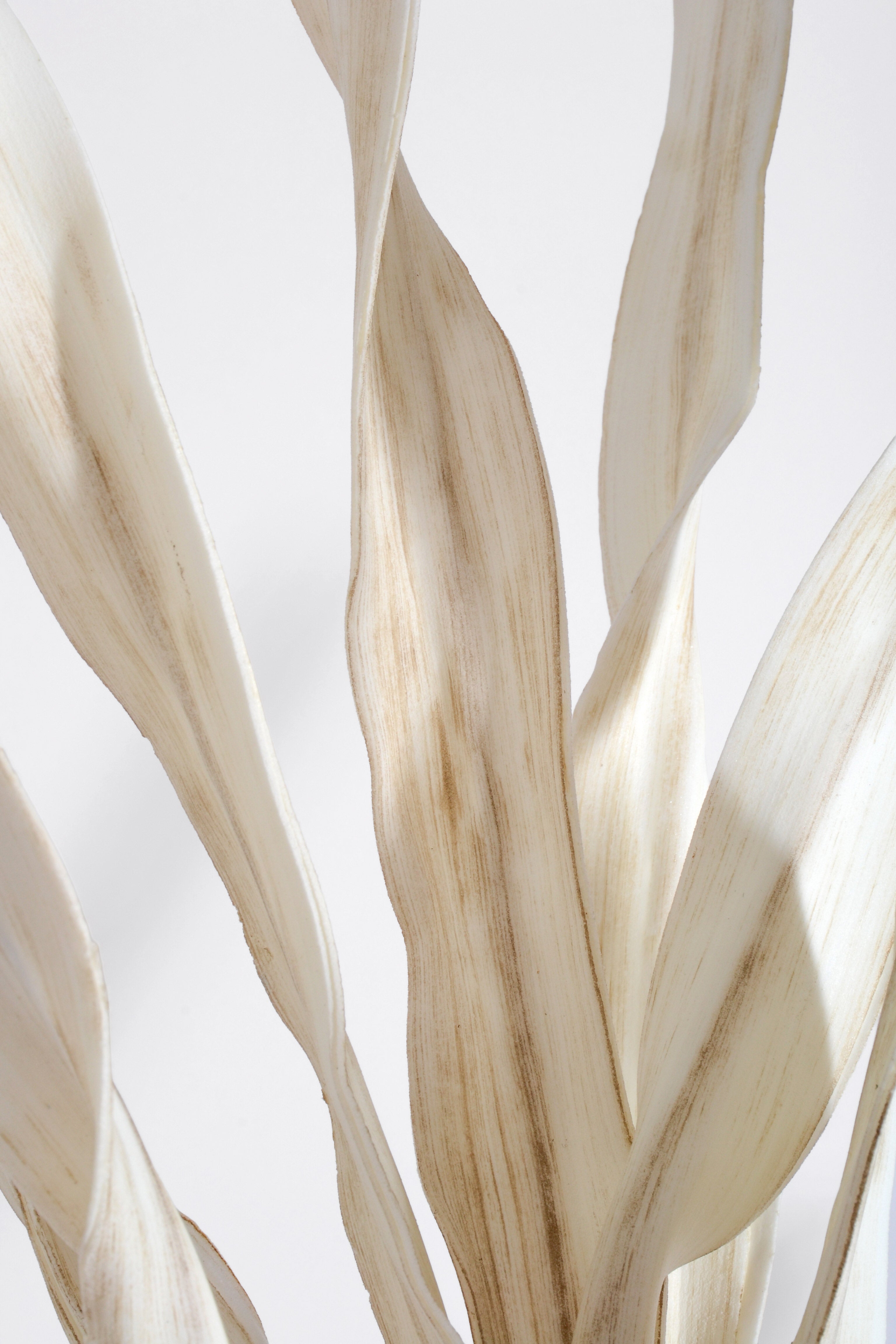 45" Foam Sea Kelp Spray Cream/Brown