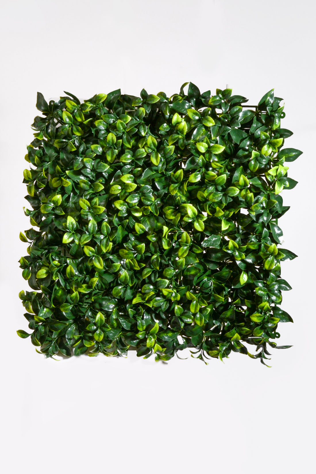 20" UV Boxwood Mat Green