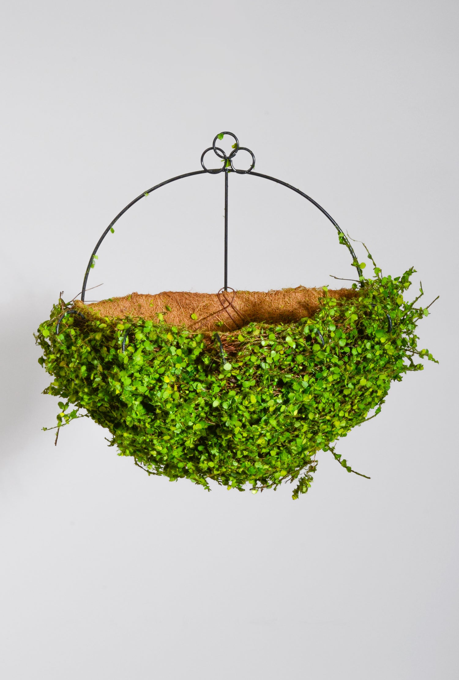 12" Metal Wall Basket W/Leaves Green