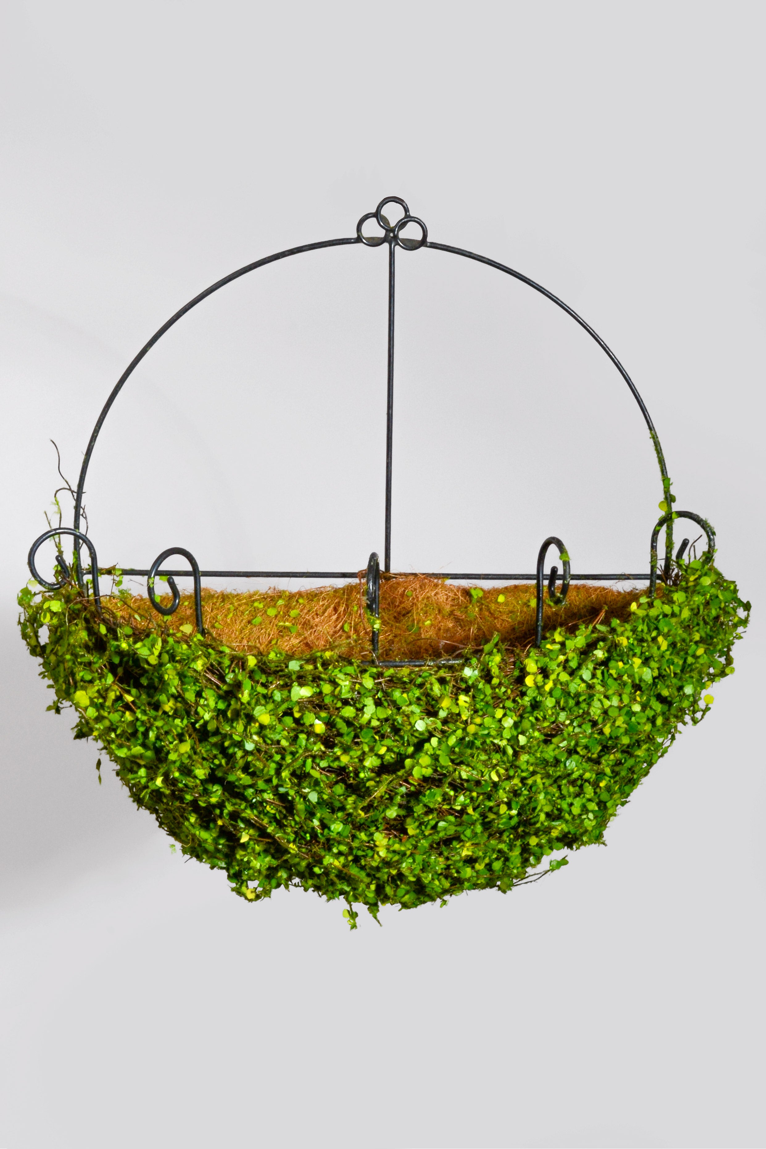 16" Metal Wall Basket W/Leaves Green