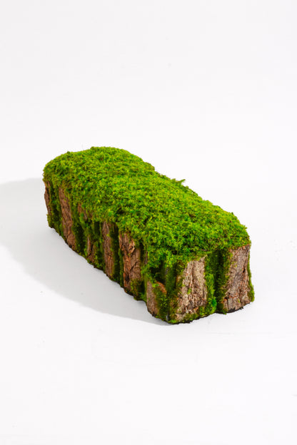 18"X 6" X 5" Bark Rack W/Moss Green