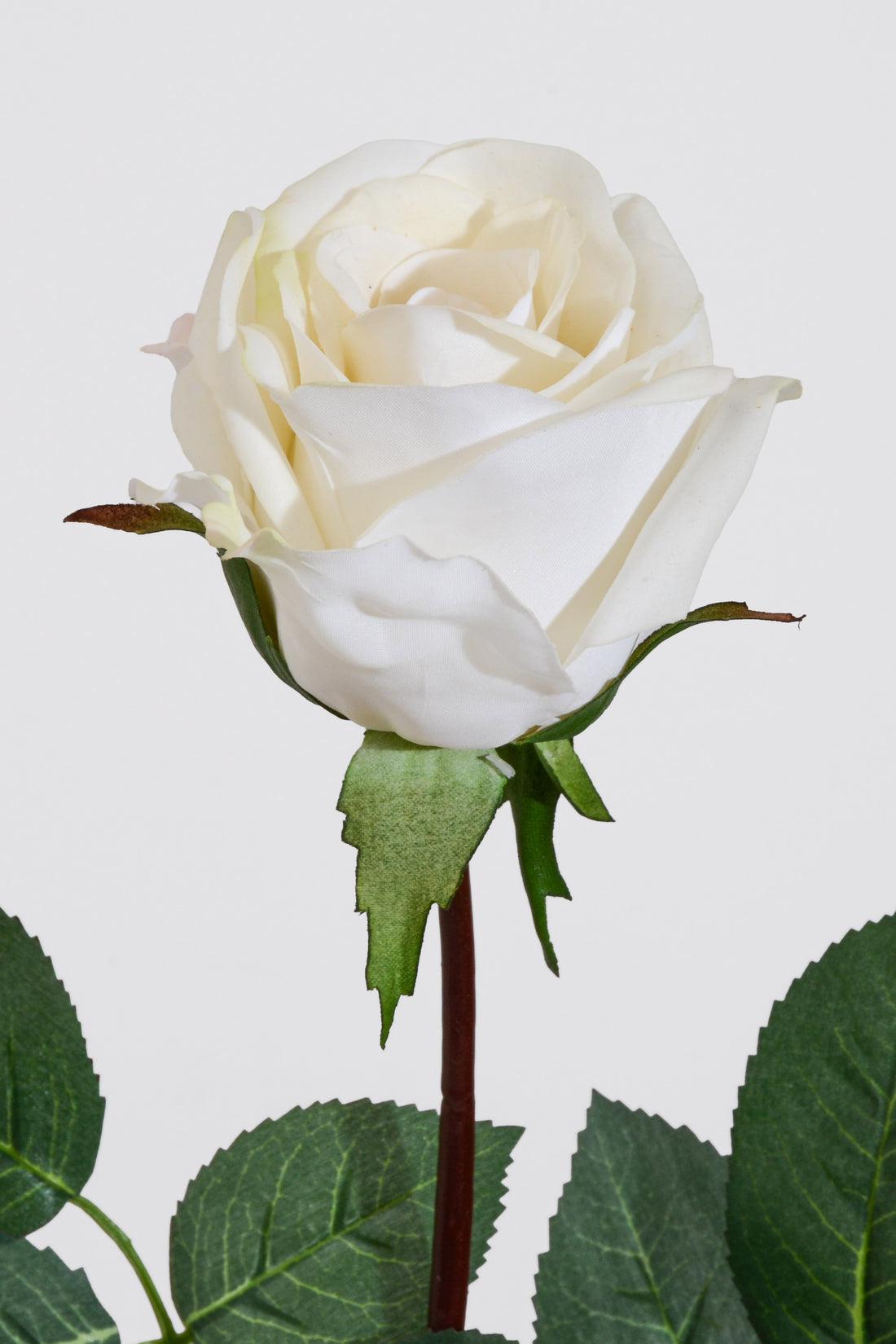 27" Silk Real Touch Rose Cream/White