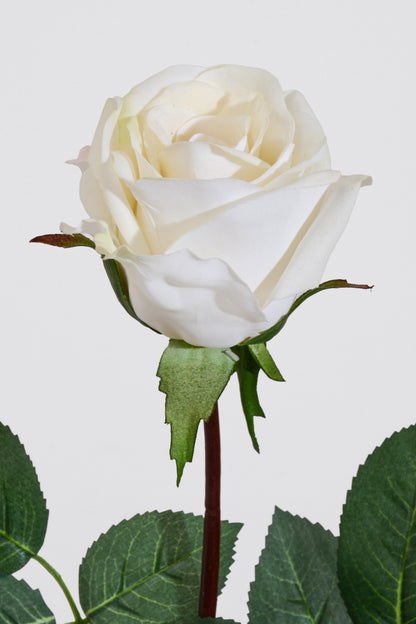 27" Silk Real Touch Rose Cream/White