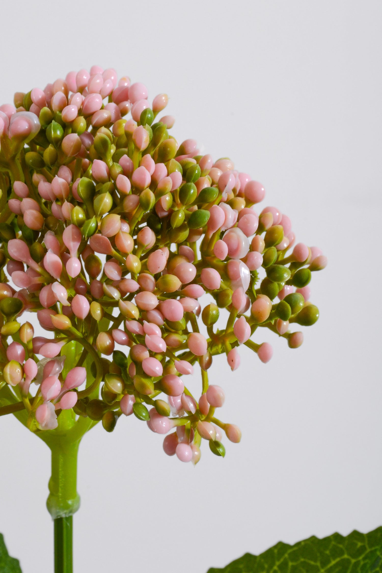 23" Plastic Hydrangea Leaf Stem Pink/Green