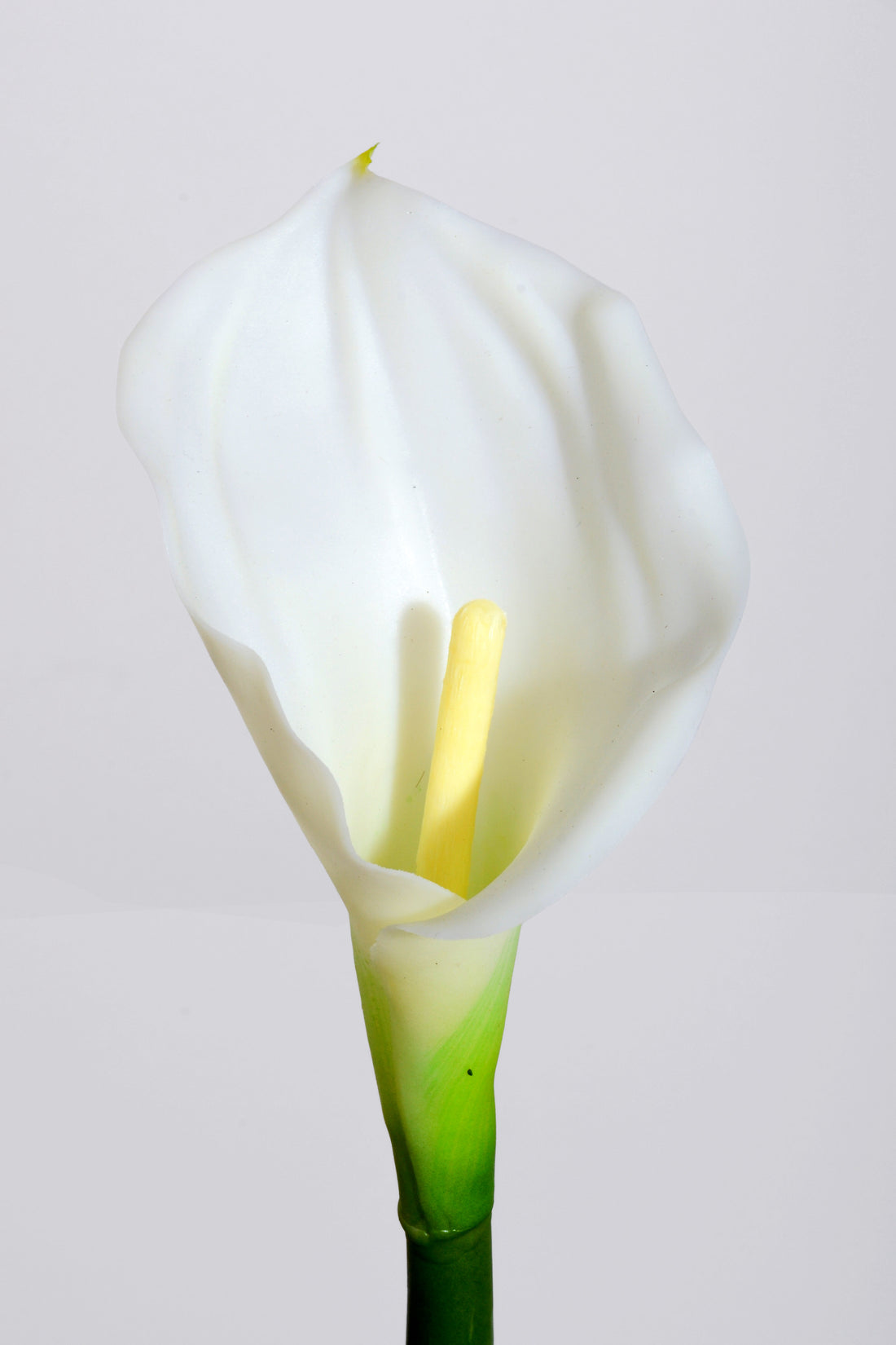 26" Artificial Calla Lily Cream