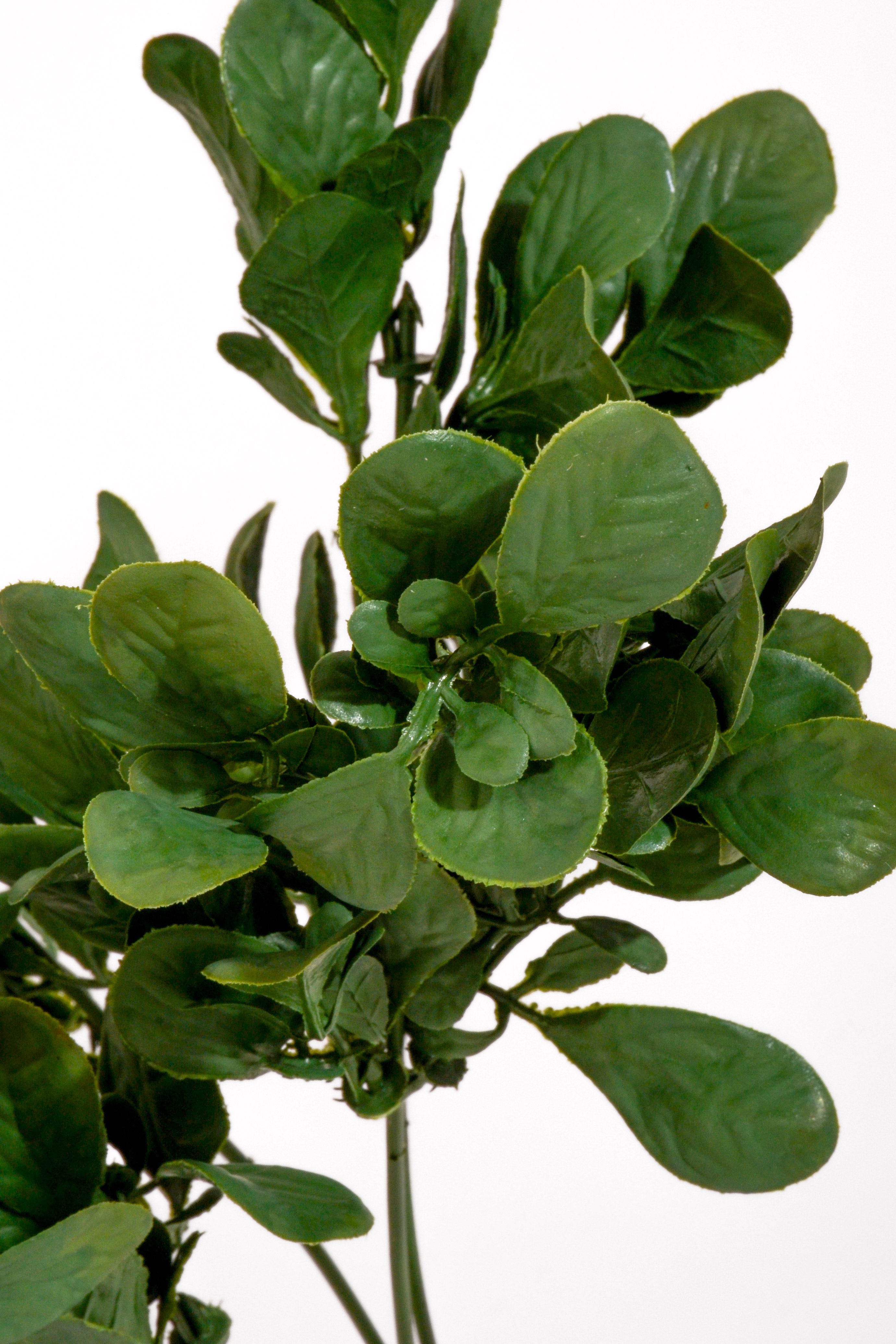 12" UV Artificial Laurel Bush Green Pkg/2