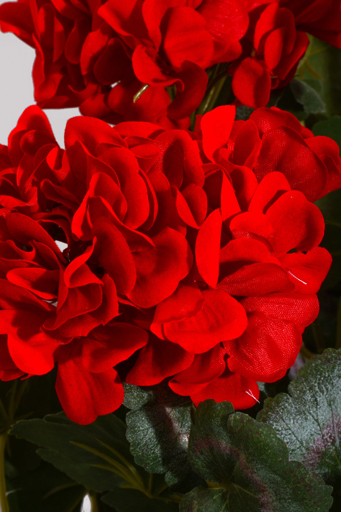 17" Silk Geranium Bush Red