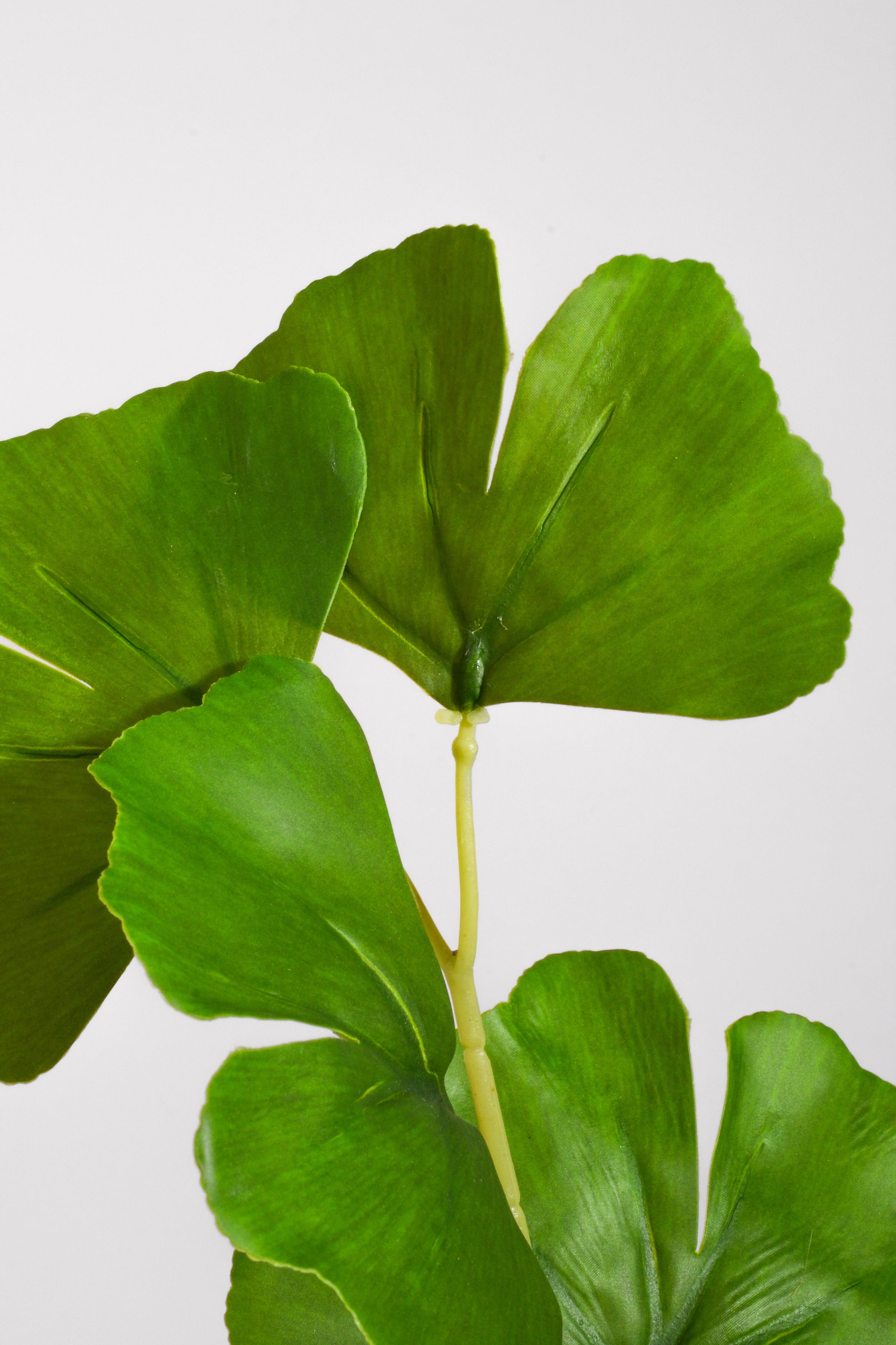 33.5" Artificial Ginkgo Leaf Spray Green