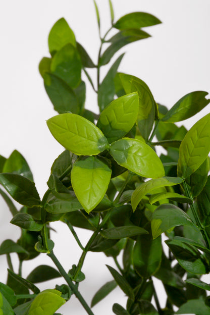 13.5" UV Artificial Ruscus Bush Green Pkg/2