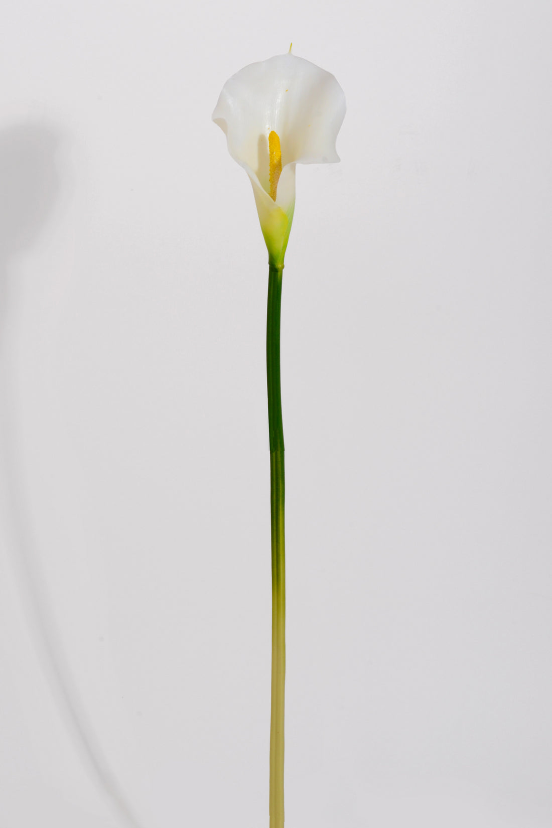 21" Artificial Calla Lily Stem White