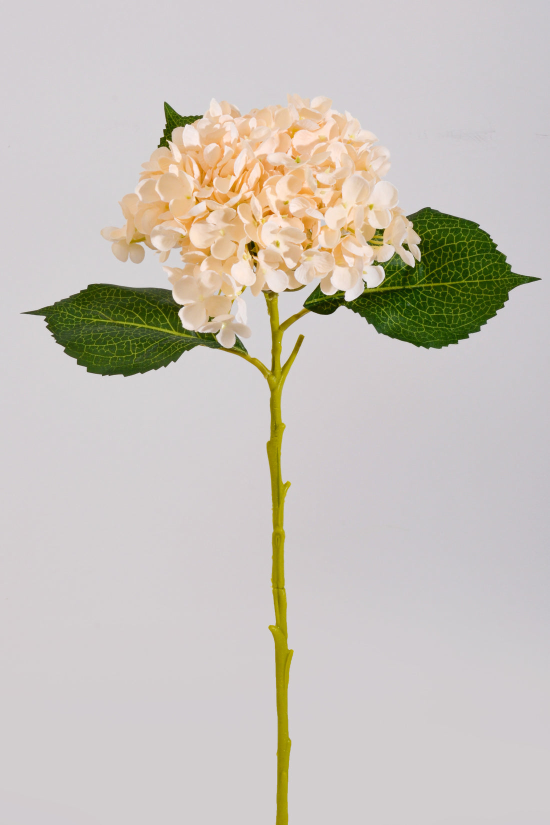 20" Silk Hydrangea Stem Beige