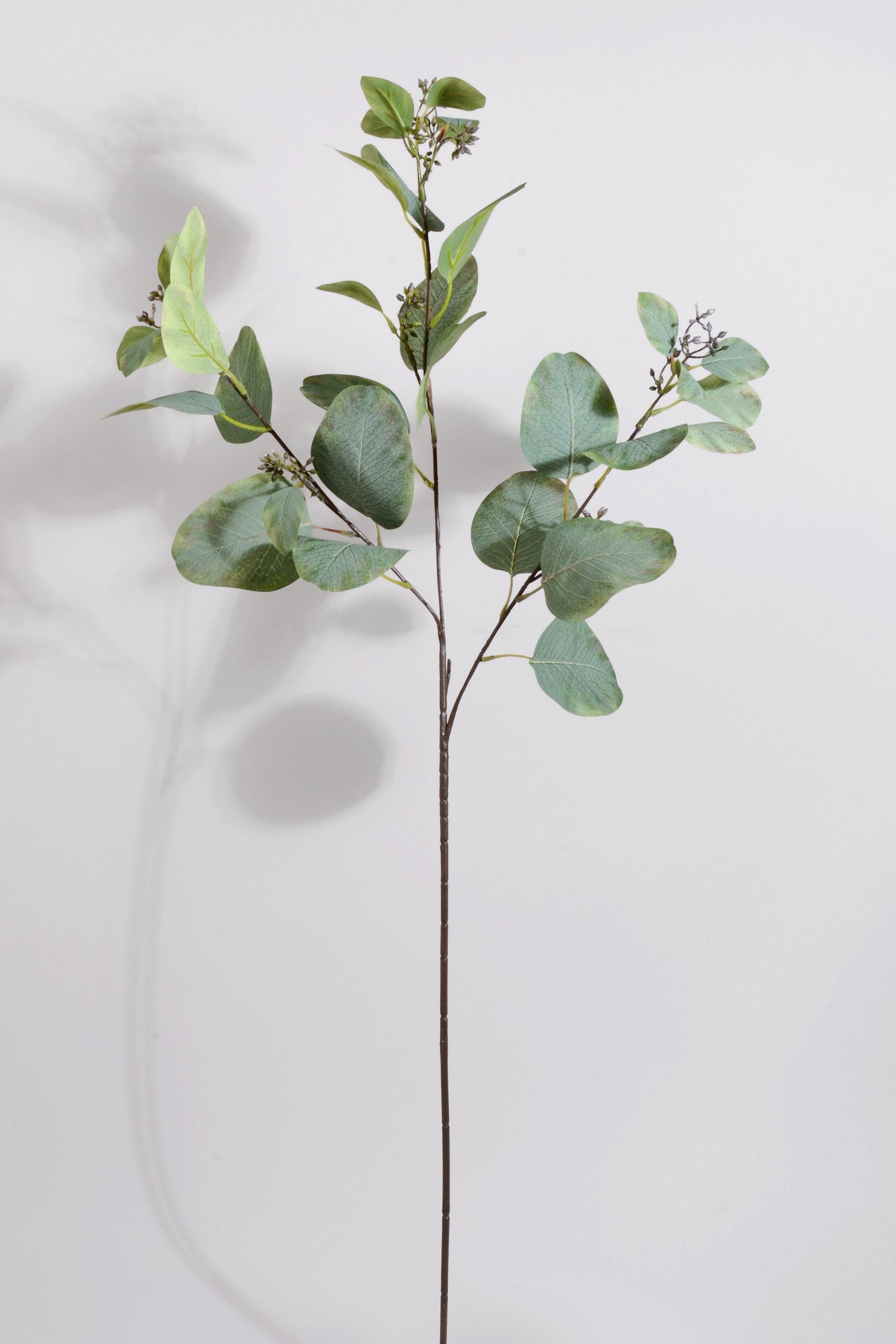 34" Artificial Eucalyptus Seed Spray Grey/Green