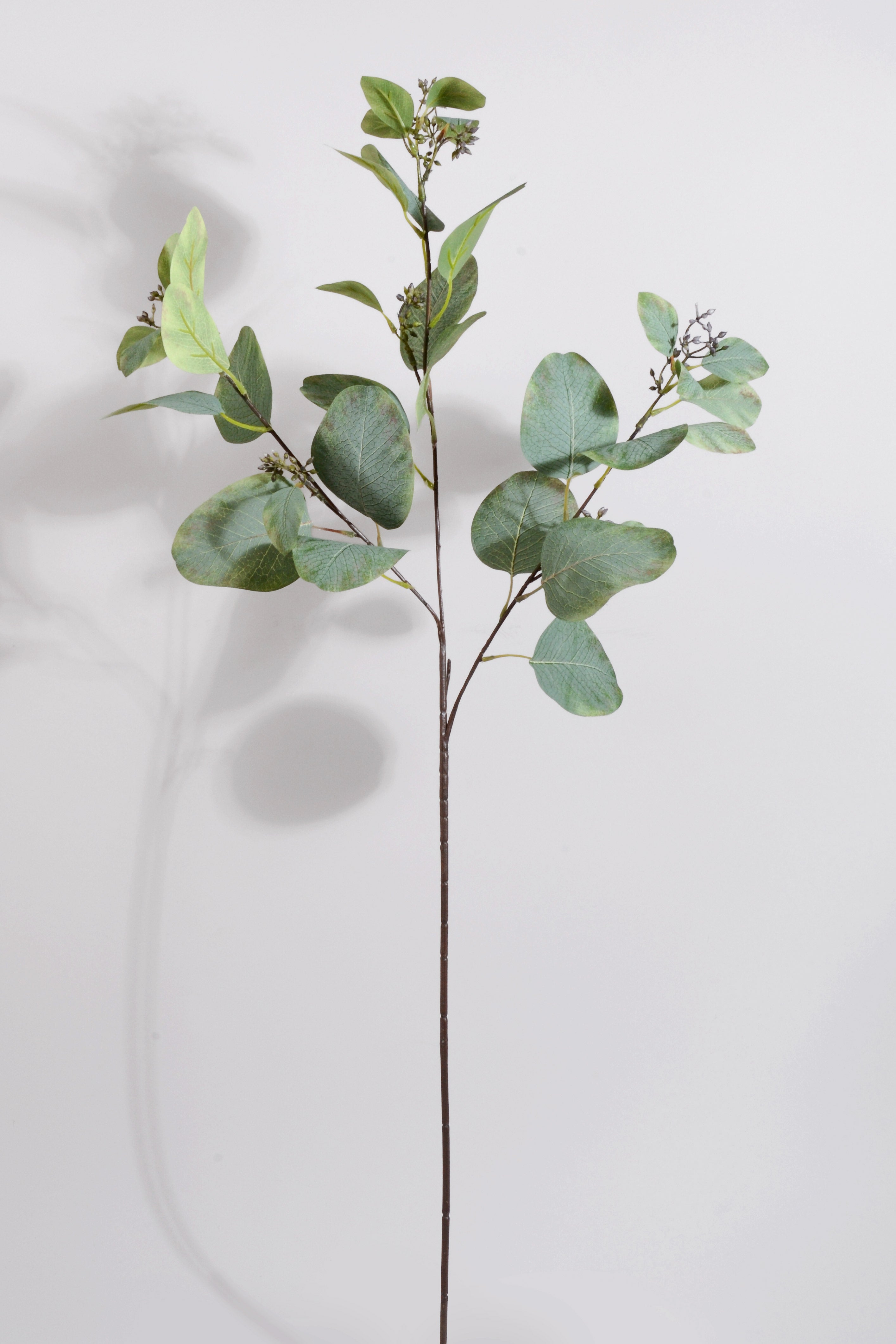 34" Artificial Eucalyptus Seed Spray Grey/Green