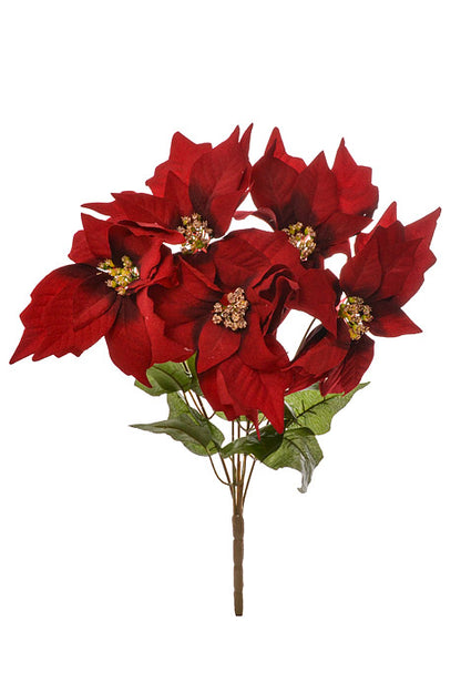 19" Poinsettia Bush Black/Red