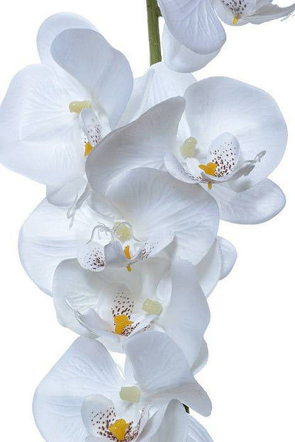 52" Orchid Garland White