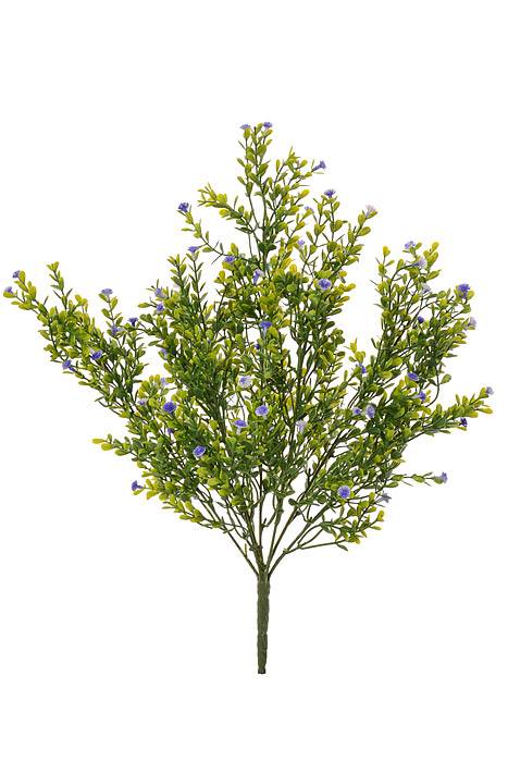 19" Gypso Bush Purple