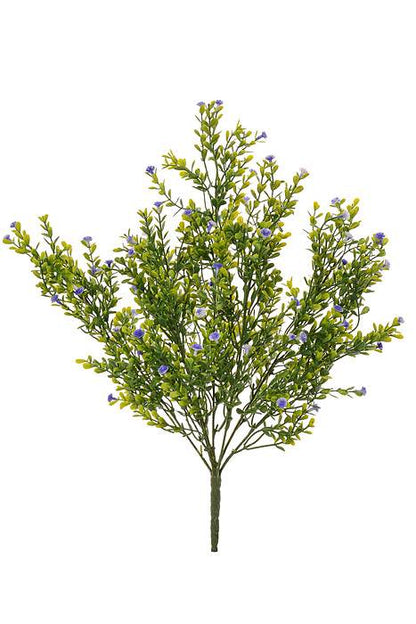 19" Gypso Bush Purple