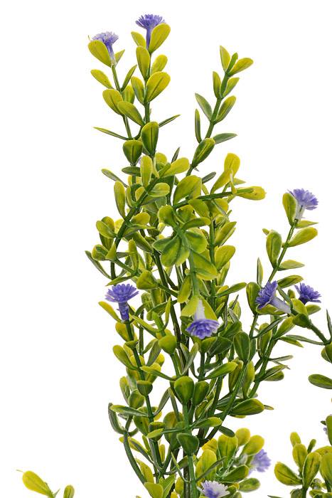 19&quot; Gypso Bush Purple