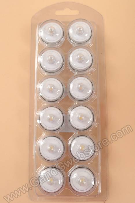 Submersible Floralyte Warm White Pkg/12