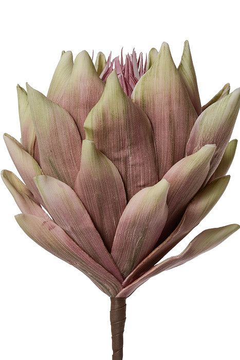 35" Protea Foam Spray Soft Pink
