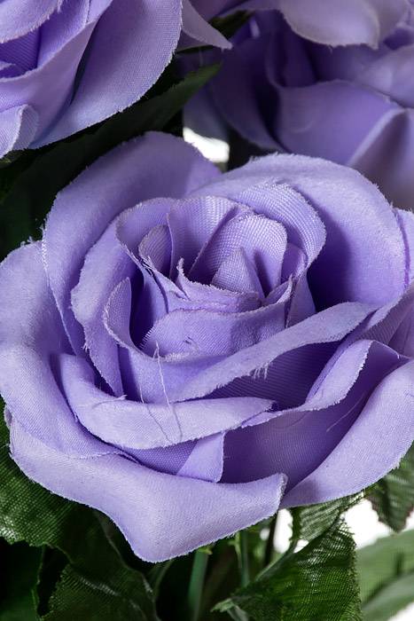 22" Silk Mirco Peach Rose Bush X18 Lavender