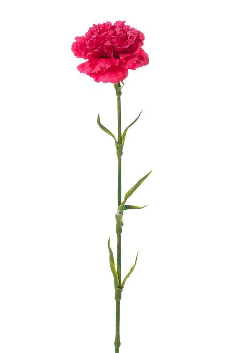 21.5" Silk Carnation Spray Beauty