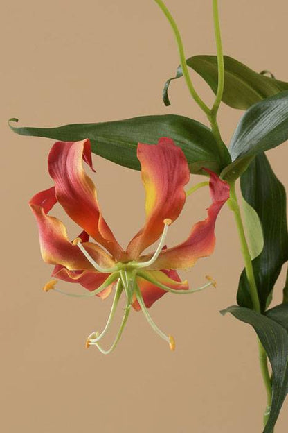 47" Gloriosa Spray Red/yellow