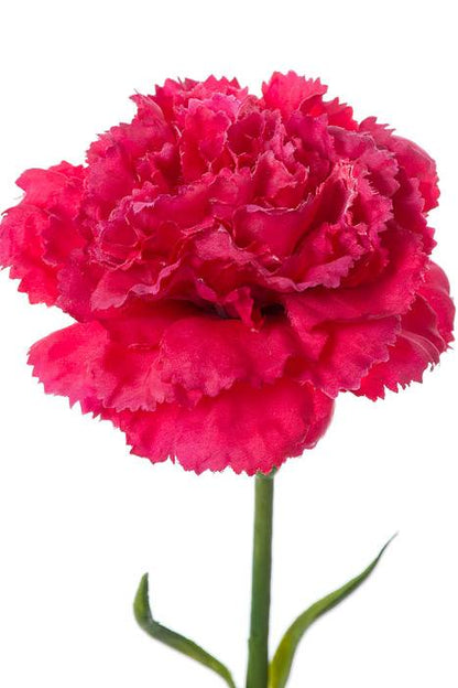 21.5" Silk Carnation Spray Beauty
