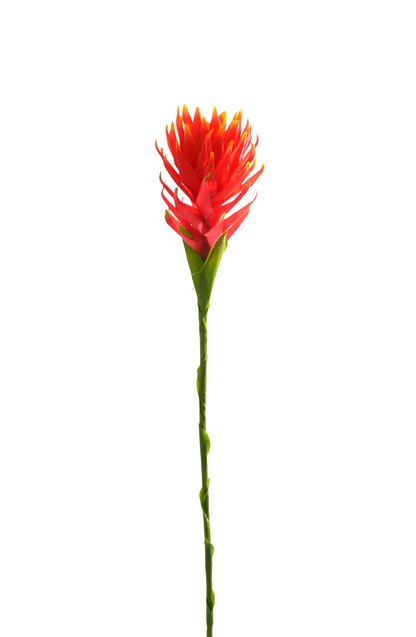 36" Protea Spray Red/orange