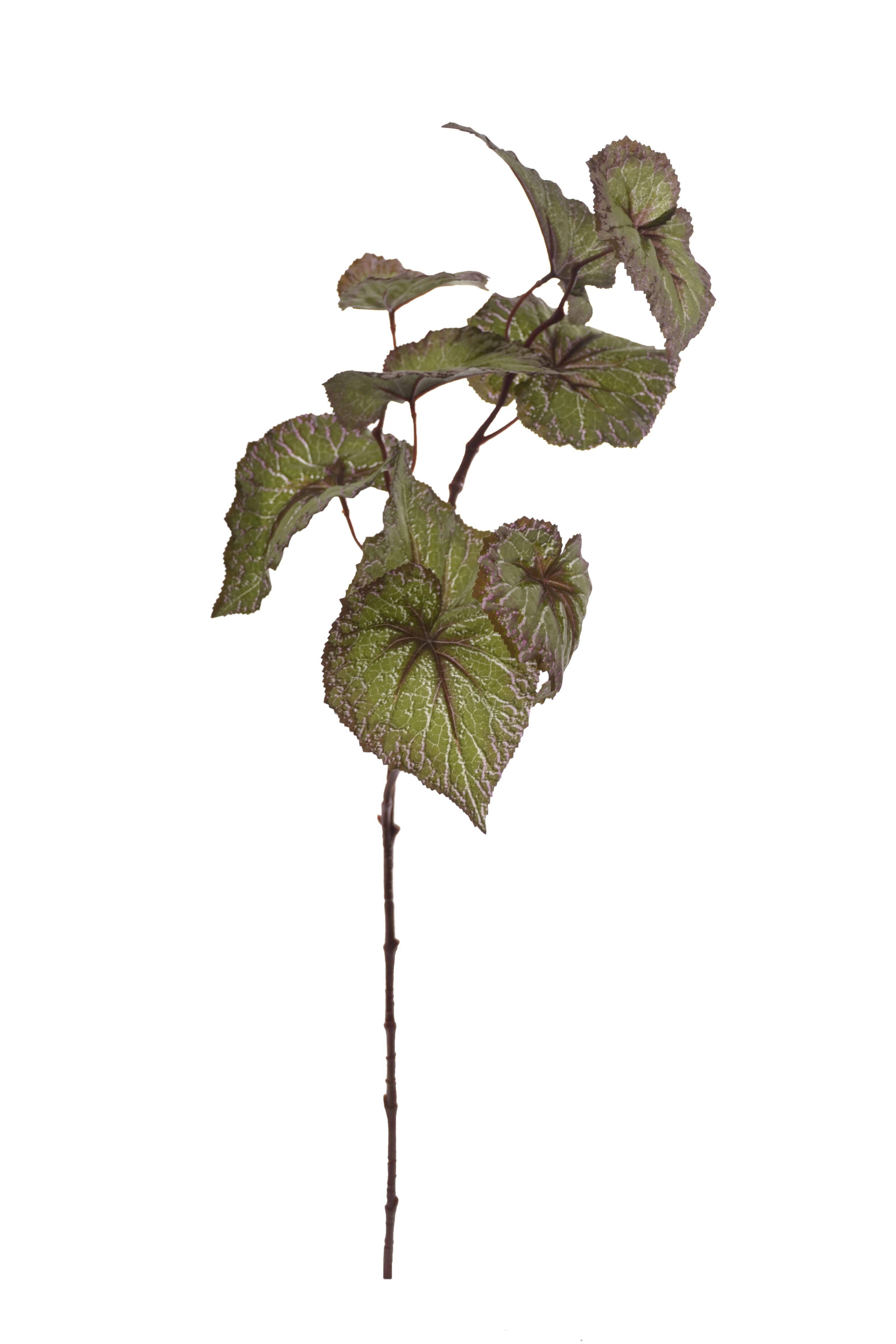 27" Begonia Leaf Spray Green/purple