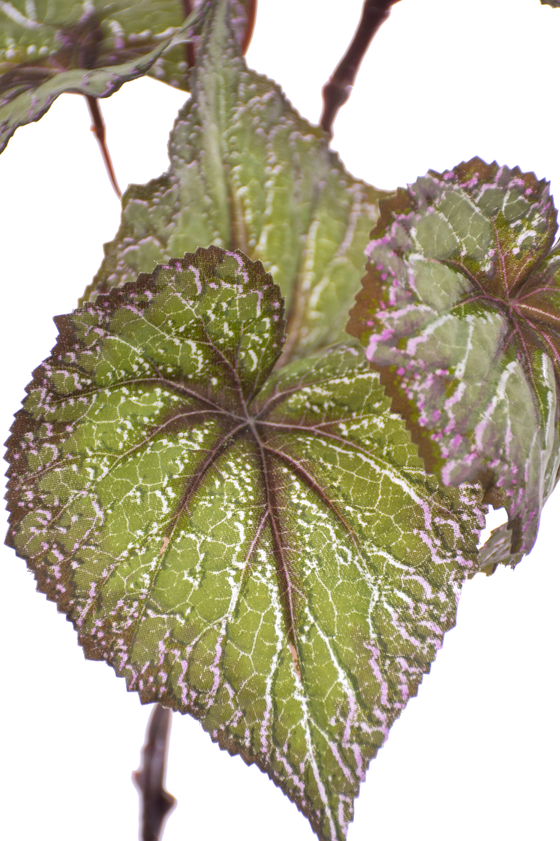 27" Begonia Leaf Spray Green/purple