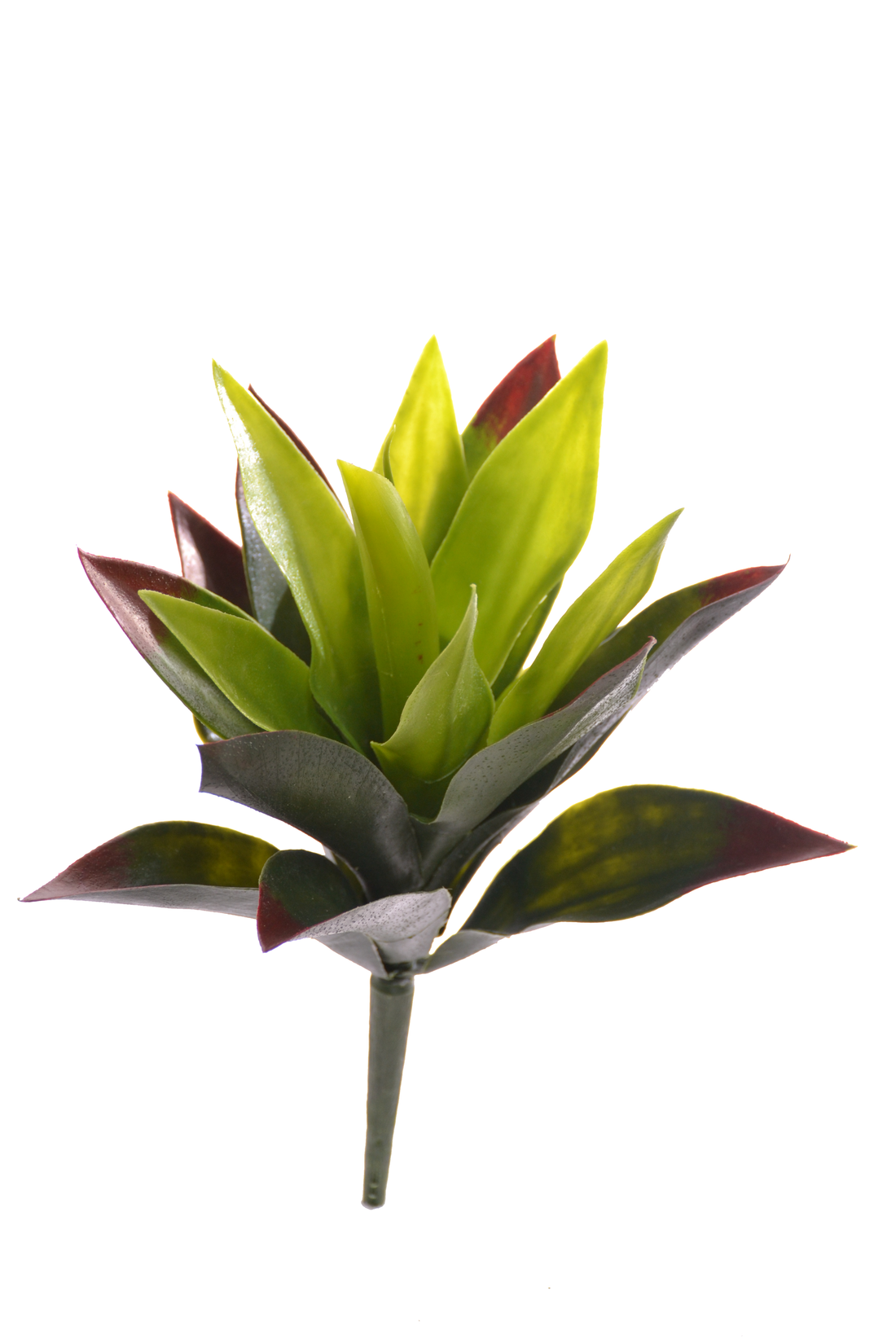 11" Agave Plant Green