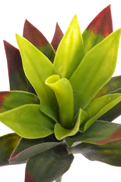 11" Agave Plant Green