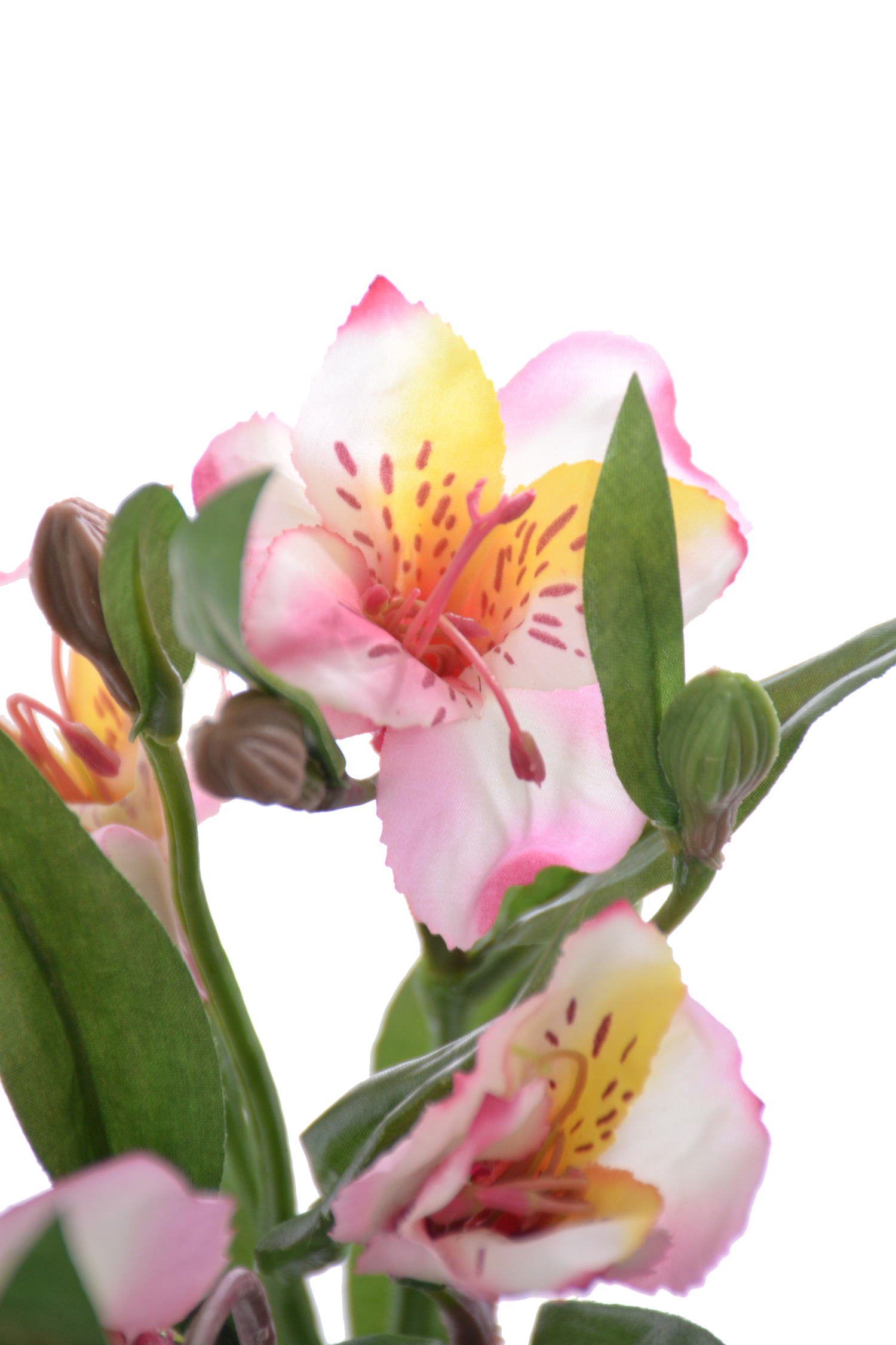 14" Silk Alstromeria Spray Lavender/cream