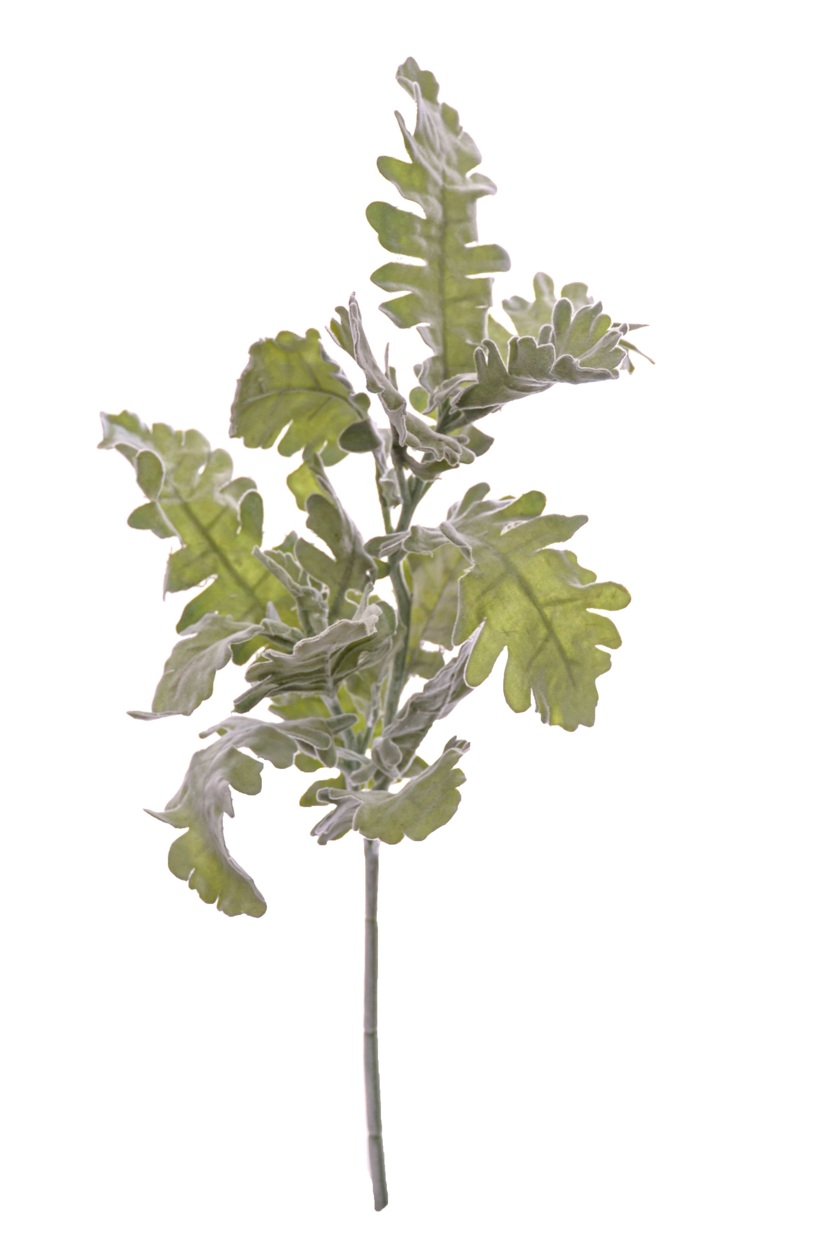 19" Dusty Miller Spray Green/grey