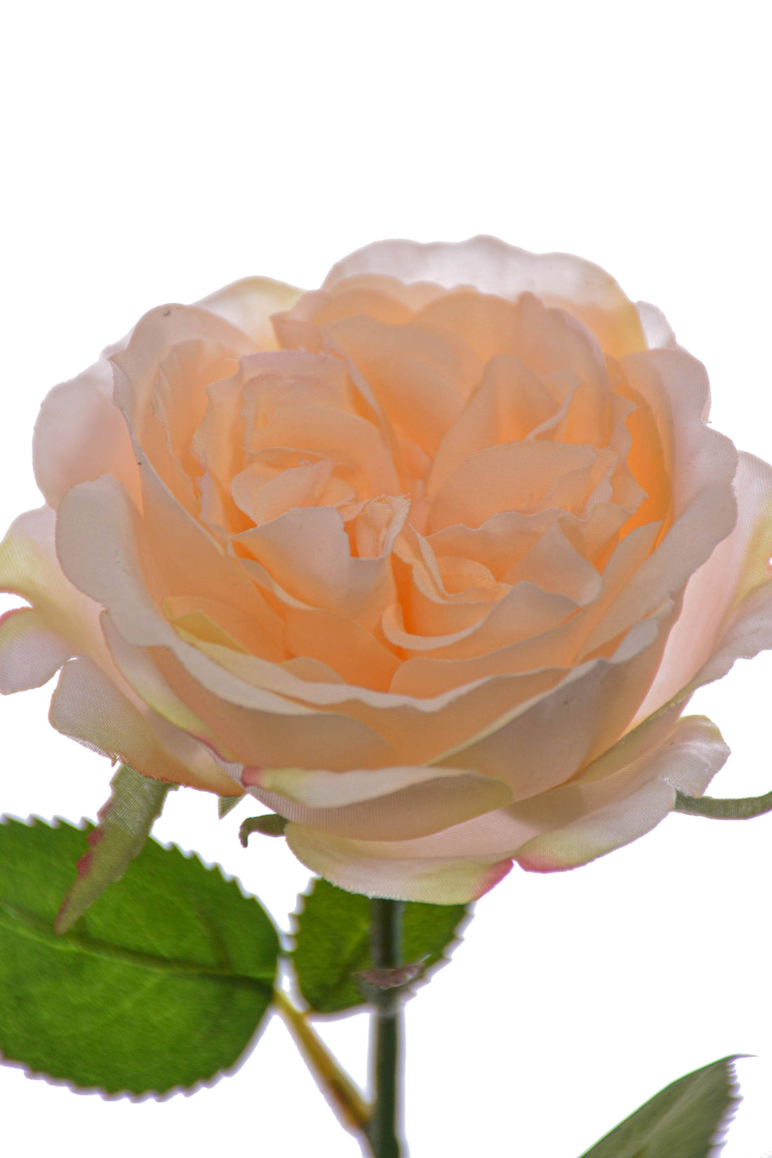 20.5" Rose Spray Pastel Apricot