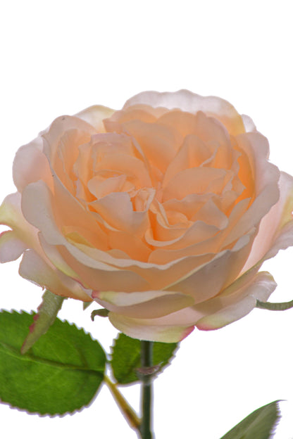 20.5" Rose Spray Pastel Apricot